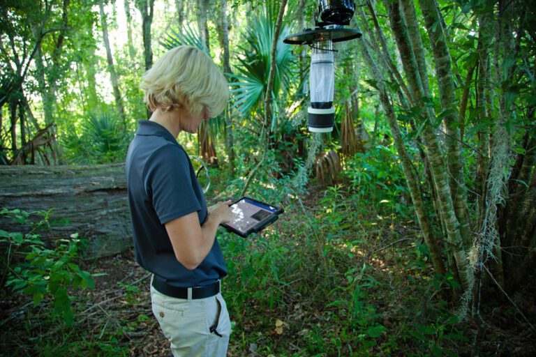 surveillance-mosquito-management