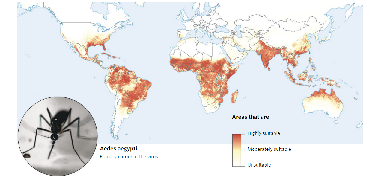 aedes-aegypti-suitable-map