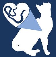 ICON-heartworms-in-cats.jpg