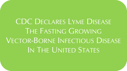 Lyme_Disease_Fast_Growing_Vector_Borne_Disease_United_Statesgrn.png