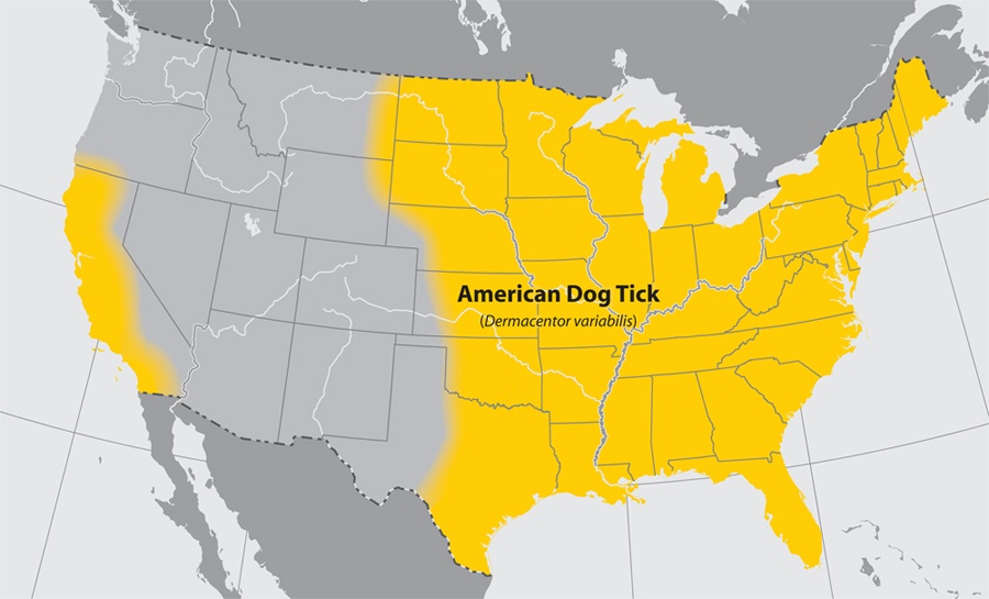 lgmap-american_dog_tickCDC.jpg