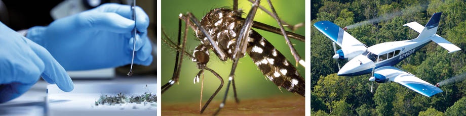 Integrated Mosquito Mangement