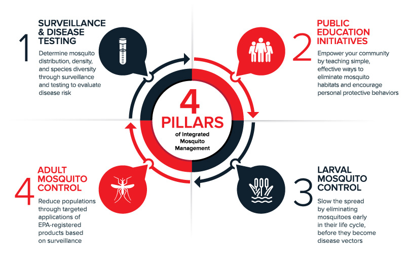 VDCI_4PillarsIMM_Infographic_0221_REV