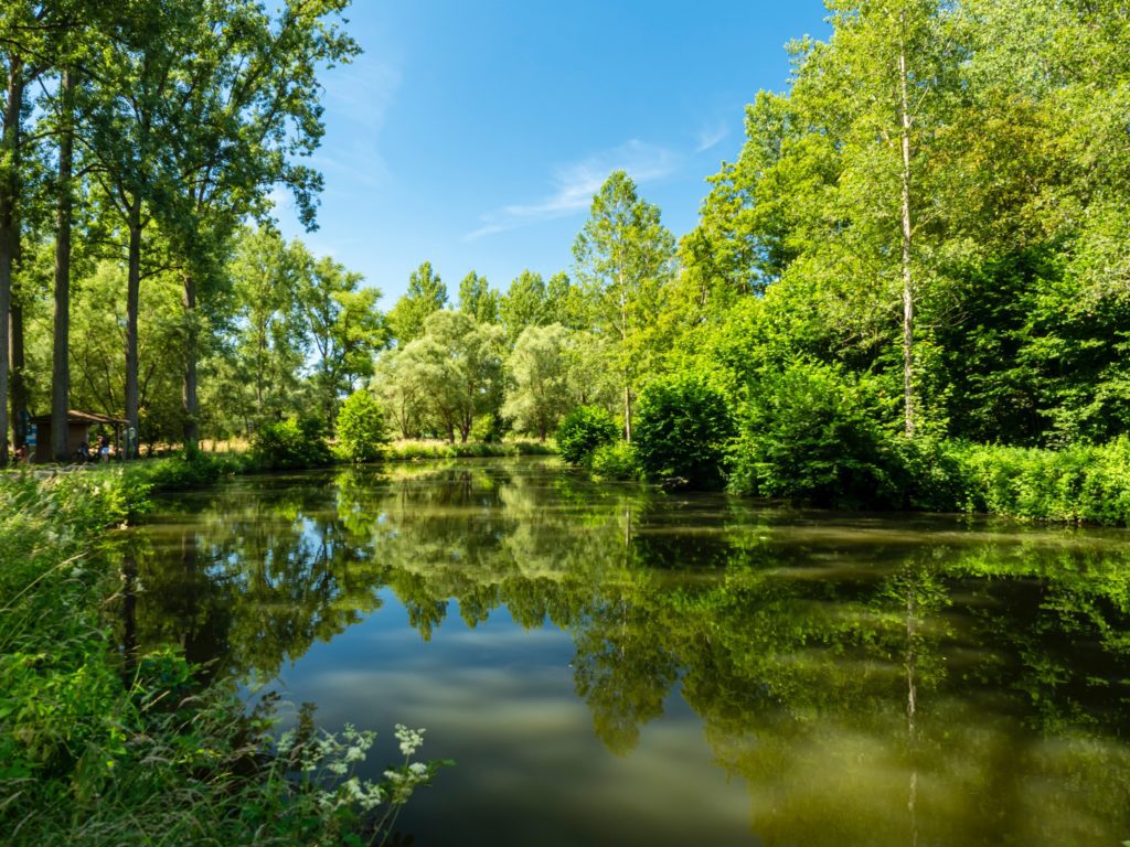 still water pond scenic