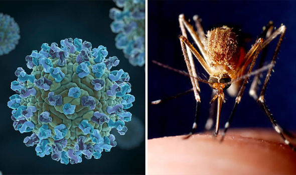 West-Nile-Virus-UK-spread-Europe-outbreak-1001738