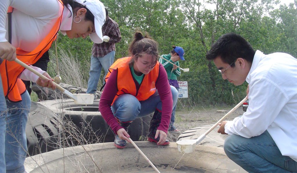 Public-Education-Source-Reduction-Larval-Habitats