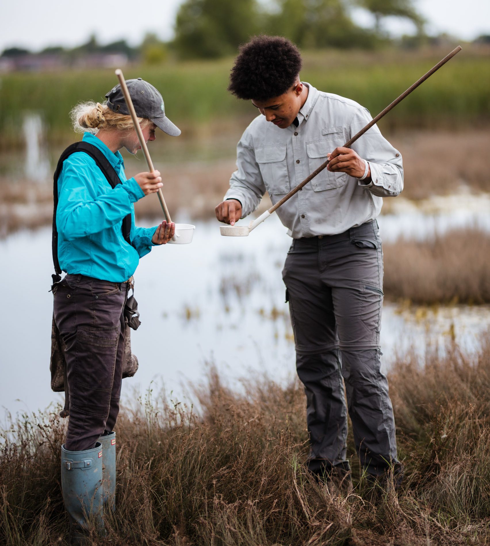 mosquito lab testing collecting data