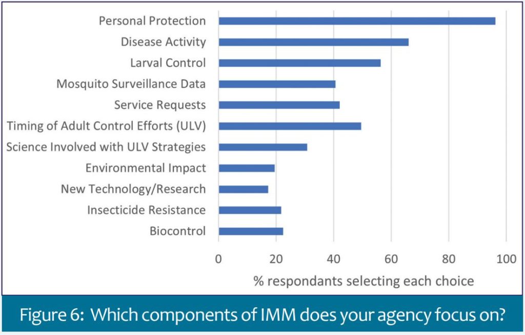 components of IMM agency focus