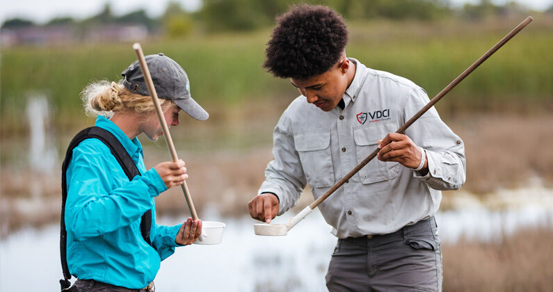 mosquito sampling in lake