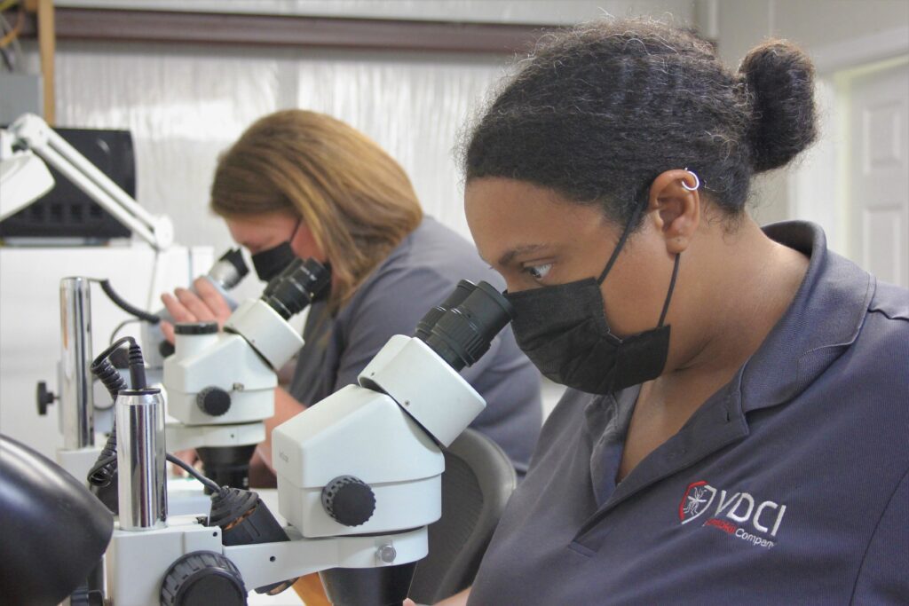 Two-people-in-lab-working