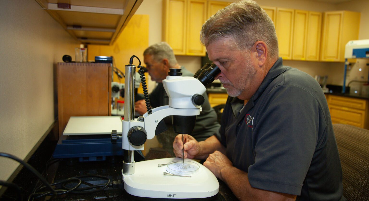 Testing On Insects Life at the Lab Identifying Species and Disease Testing - Part 2