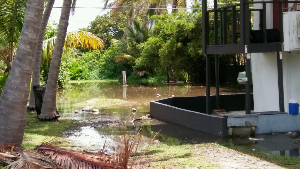 back-yard-flooded