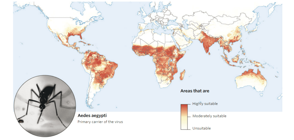 Aedes_aegypti_mosquito_WSJ