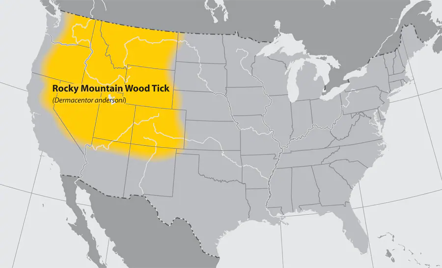 lgmap-rocky_mountain_wood_tick