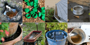 mosquito-breeding-sites-public-education-awareness