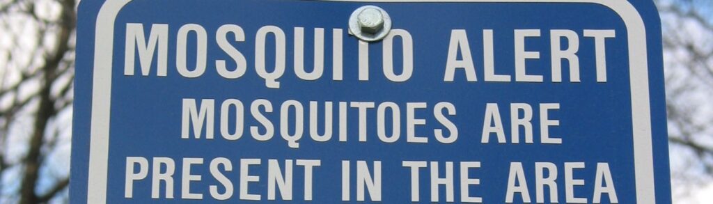 mosquito-borne-diseases-treats-cost-of-inaction-disease-transmission