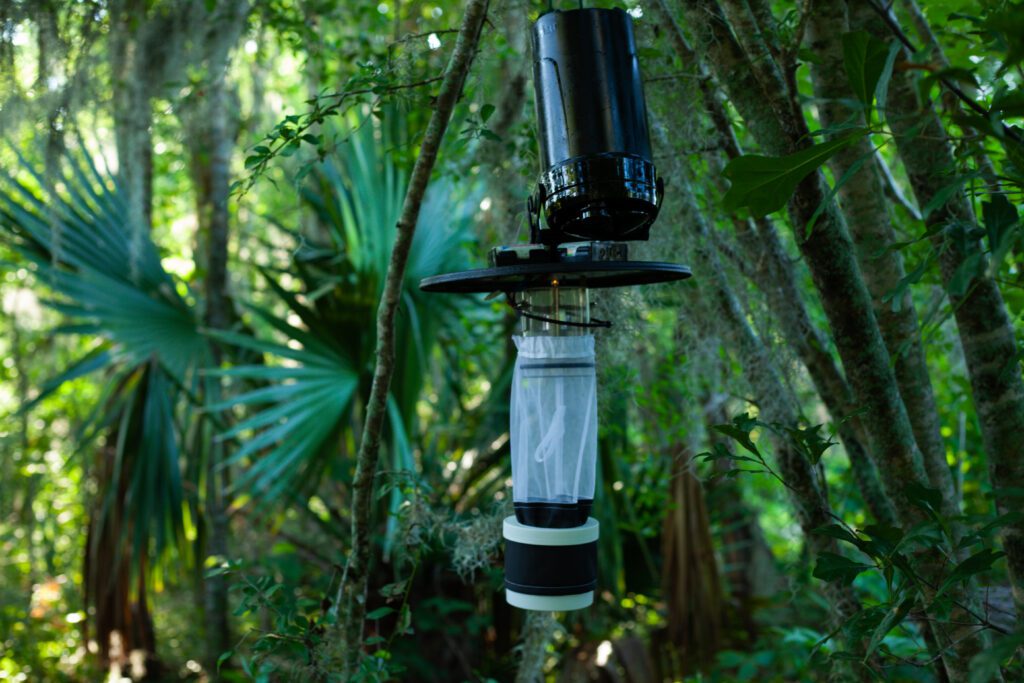 Vector Mosquito Control vs Backyard Efforts Alone