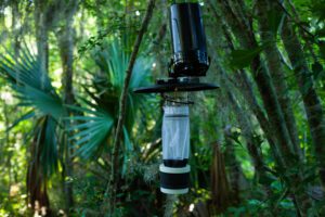 Vector Mosquito Control vs Backyard Efforts Alone