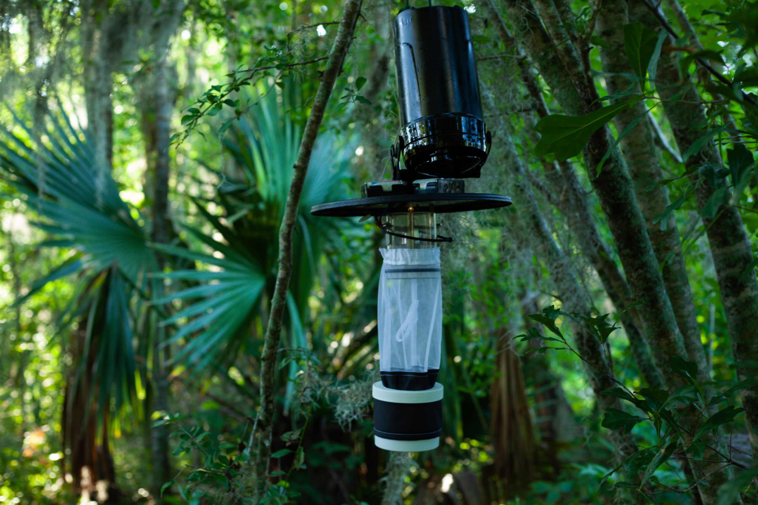 Vector Mosquito Control vs Backyard Efforts Alone