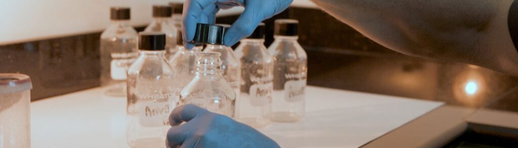 insecticide-resistance-monitoring
