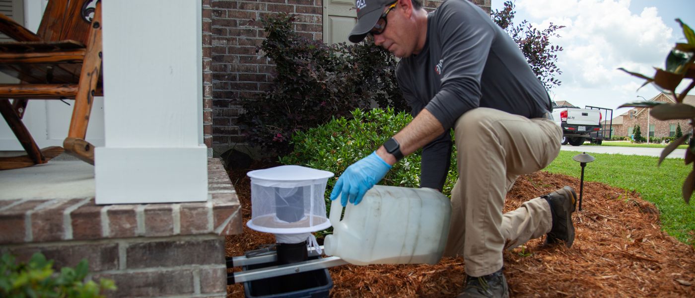 man setting up mosquito trap in residential front yard for surveillance
