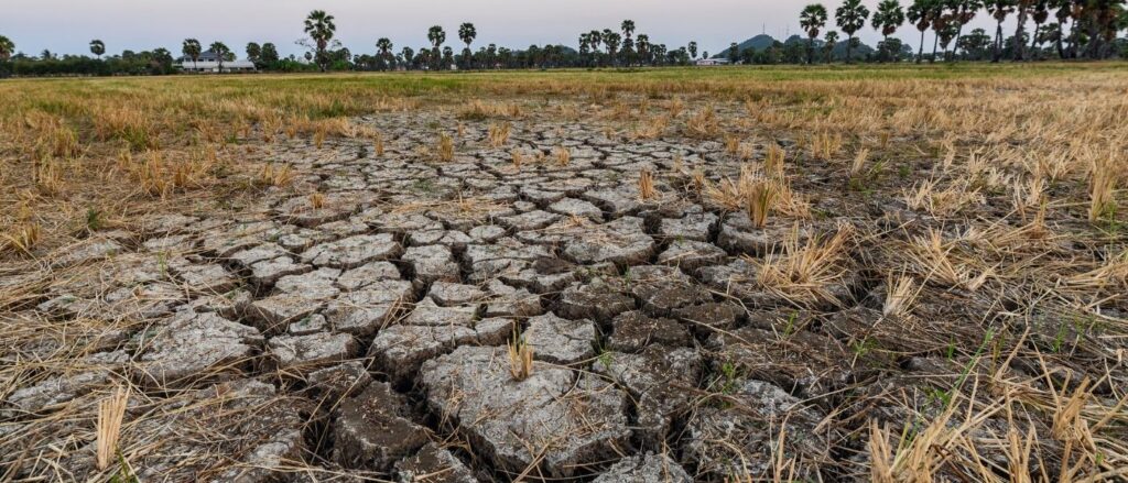 Dry cracked soil ground texture in fields
