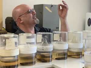 mosquito lab testing