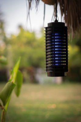 bug-zapper bug-zapper