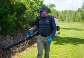 mosquito-control