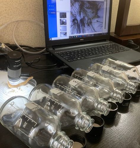 mosquito insecticide resistance bottles